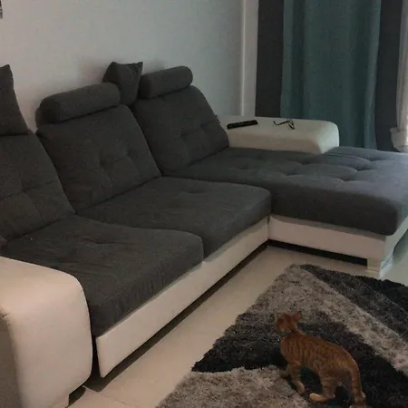 Magic Paradisus Guest * Caniço