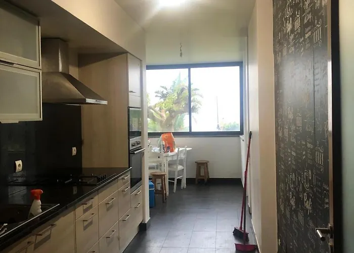 Magic Paradisus Guest