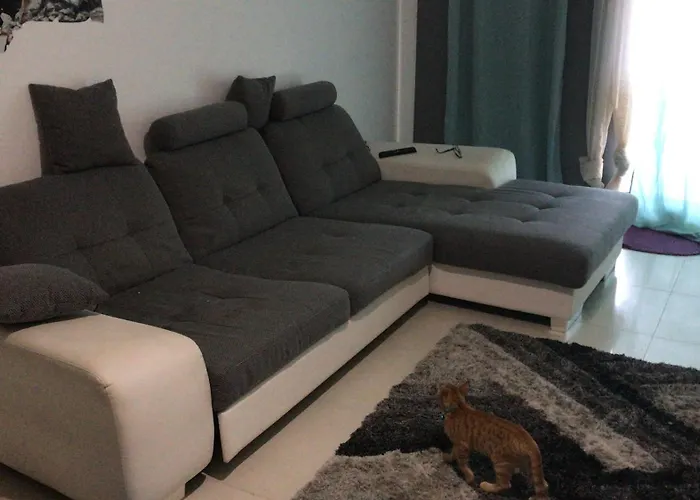 Magic Paradisus Guest * Canico (Madeira)